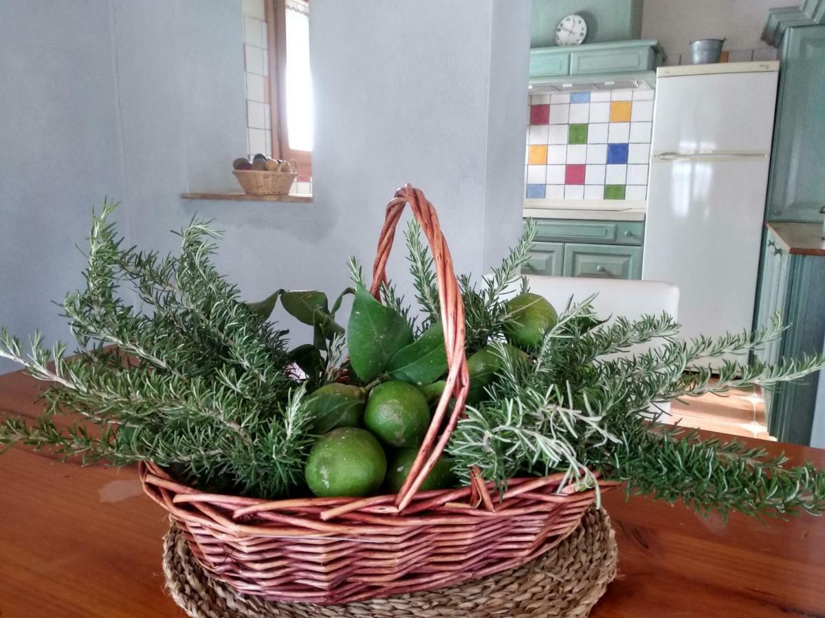 Caseta Rovira Casa de Férias Deltebre